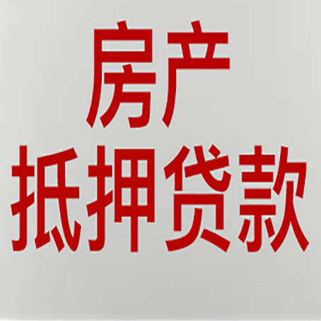 惠城贷款中介公司新渝启服能力强